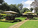 Lunch at the Coffee lodge, Arusha